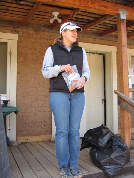 Lisa Totz - KC Cabin